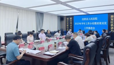 7.3汉阴法院召开2023年半年工作小结暨质效双优工作推进会