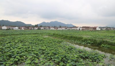 IMG_1543