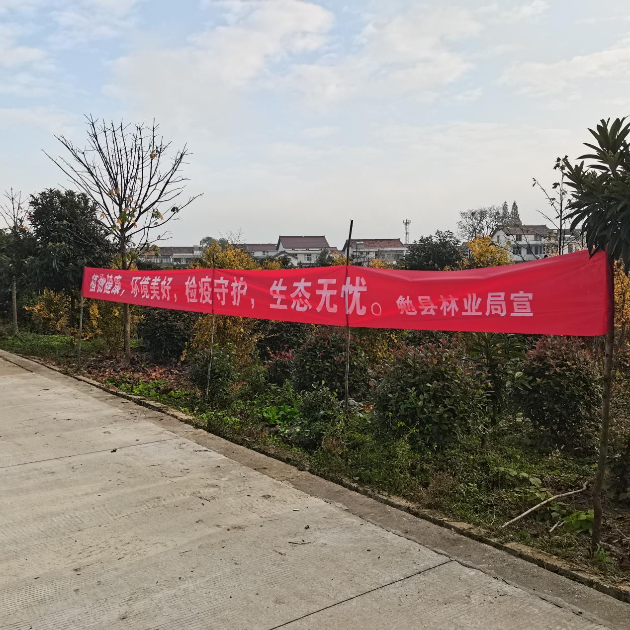 微信图片_20241122104914