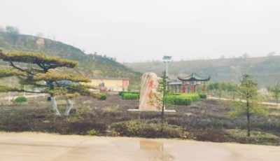 高念文