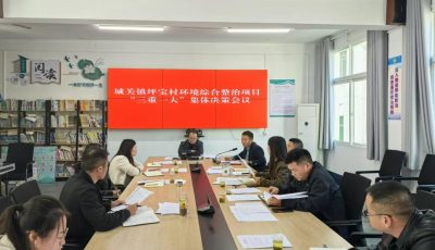 镇级召开党委会集体决策