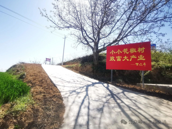 0 (2)_副本.jpg