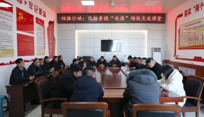 巴拉素镇：“四雁”行动激发人才潜力 助推乡村振兴 (3).jpg