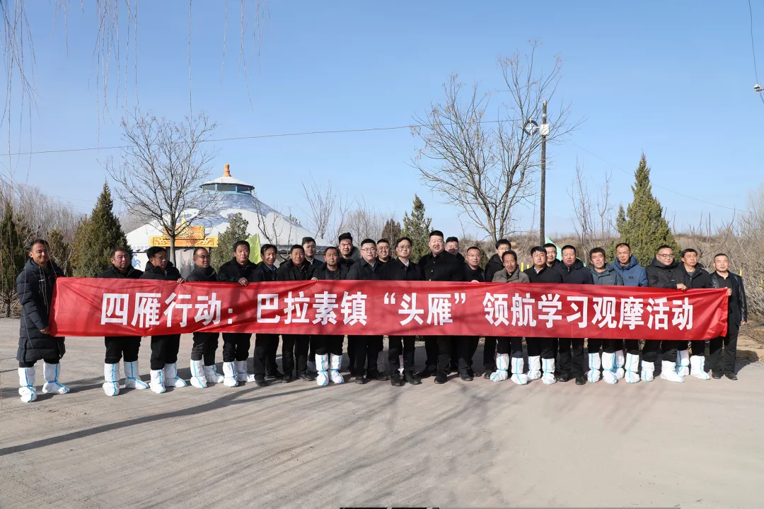 巴拉素镇：“四雁”行动激发人才潜力 助推乡村振兴 (2).jpg