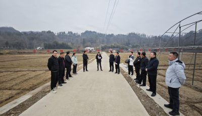 微信图片_20250211175900