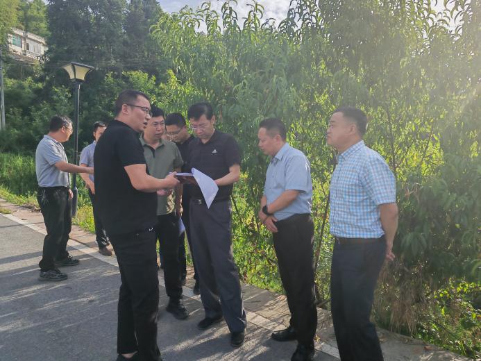 6.土地资源要素保障到位 (2)：省厅到涧池镇马鞍桥农旅项目检查用地情况