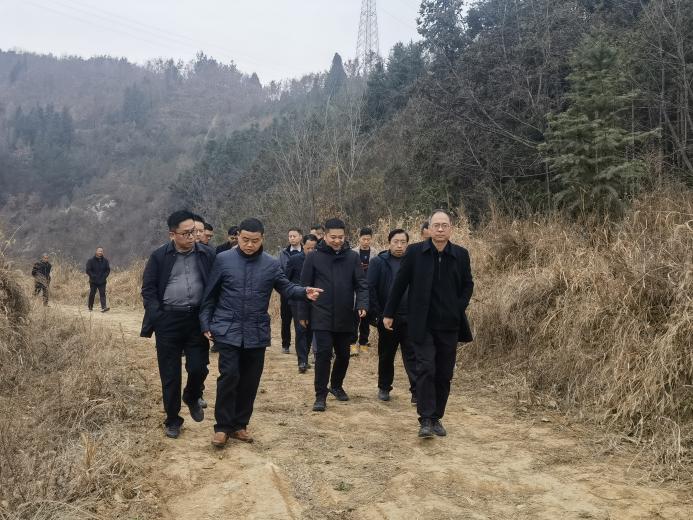 6.土地资源要素保障到位 (4)：陈永乐、王侠军县长勘察招商引资项目地块
