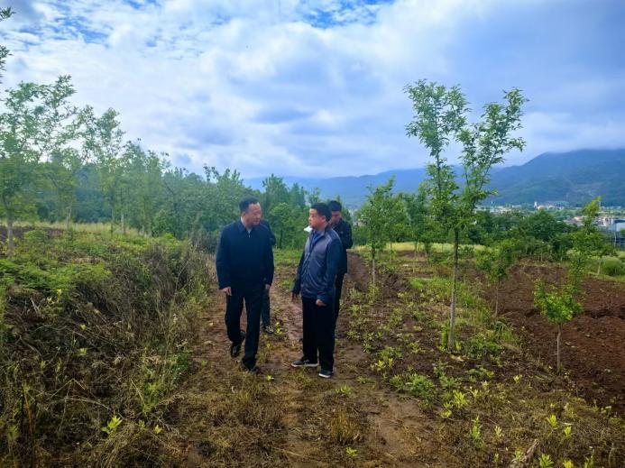 7.耕地保护红线严格守护（5）：市局王显放局长督导汉阴县耕地保护工作