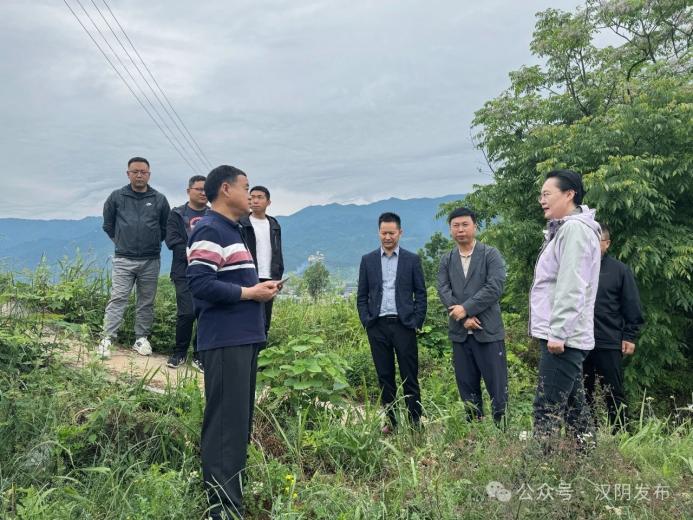 7.耕地保护红线严格守护（5）： 县委书记刘飞霞到涧池镇洞河村、城关镇麒麟村和前进村等地实地督导调研承诺耕种图斑种植举证等耕地保护工作开展情况2