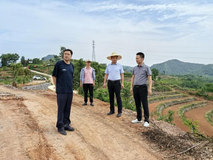 7.耕地保护红线严格守护（10）：徐局长到平粱镇清河检查旱改水项目种植情况