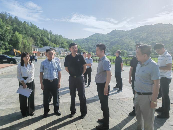 7.耕地保护红线严格守护（14）：省自然资源执法局局长李怡到双河口镇三柳综合体督导秦岭生态环境保护问题整改