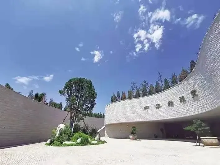 1746239985887029721.jpg