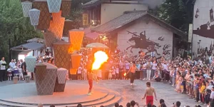IMG_256