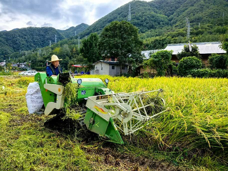 微信图片_20250909172946