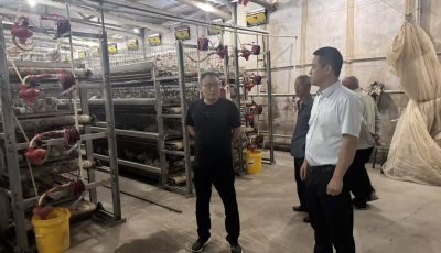 微信图片_20250911104815_4_325