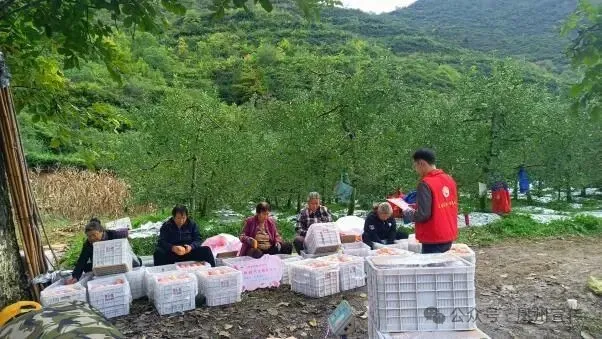 图片2.jpg