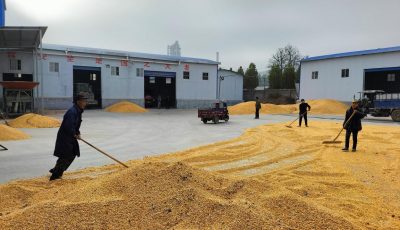 f162194666979b5659070a6f5b05e2a7