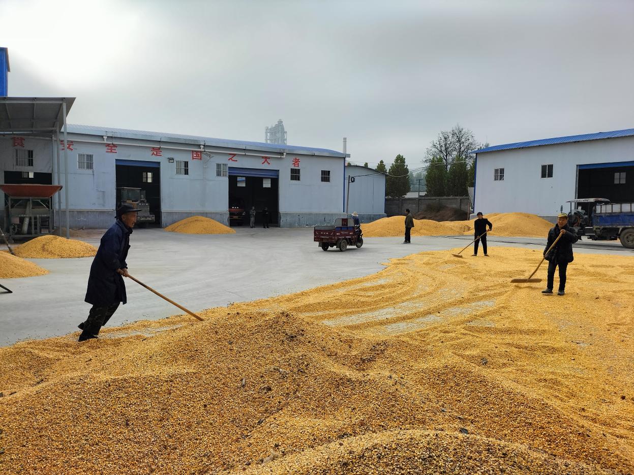 f162194666979b5659070a6f5b05e2a7