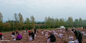 8db0da0ddcb387885d75f5206b3c88fc