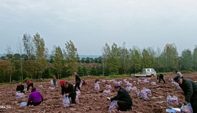 8db0da0ddcb387885d75f5206b3c88fc