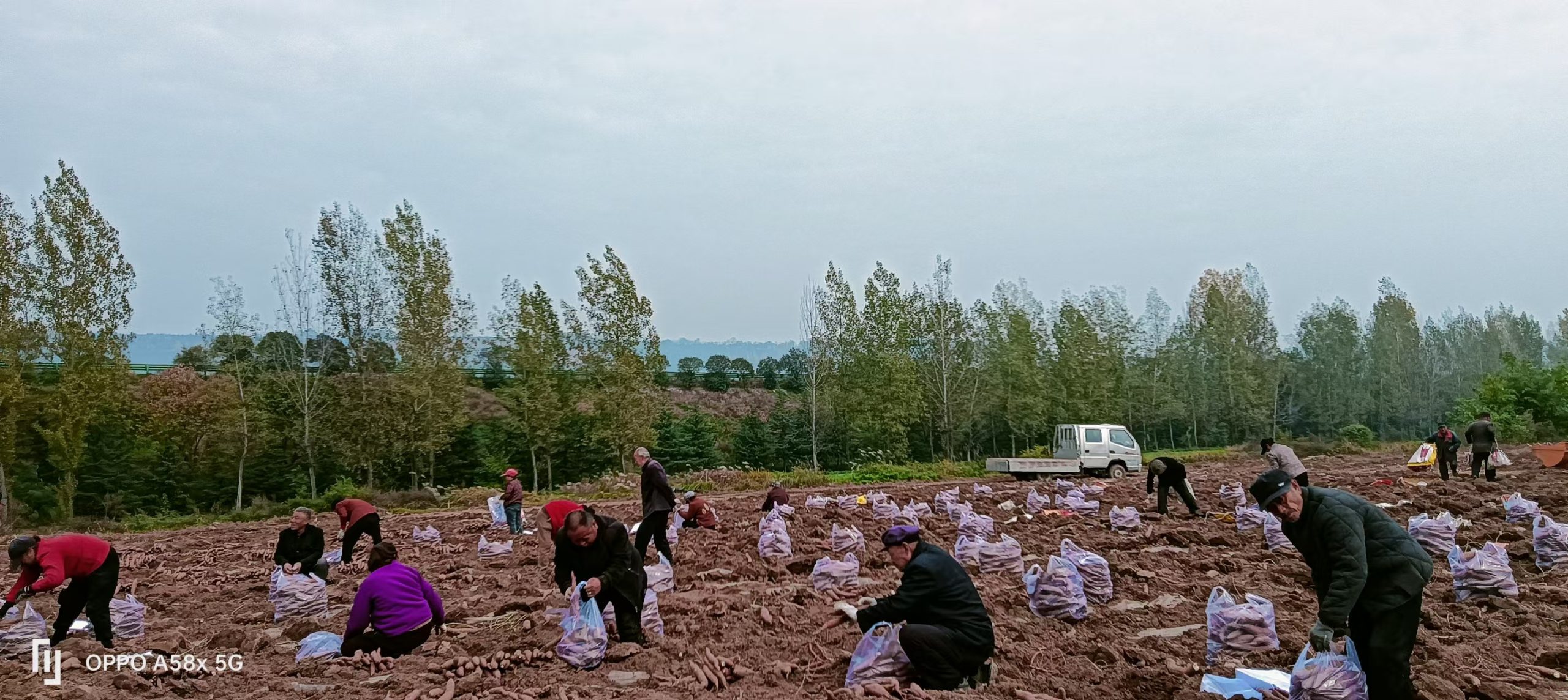 8db0da0ddcb387885d75f5206b3c88fc