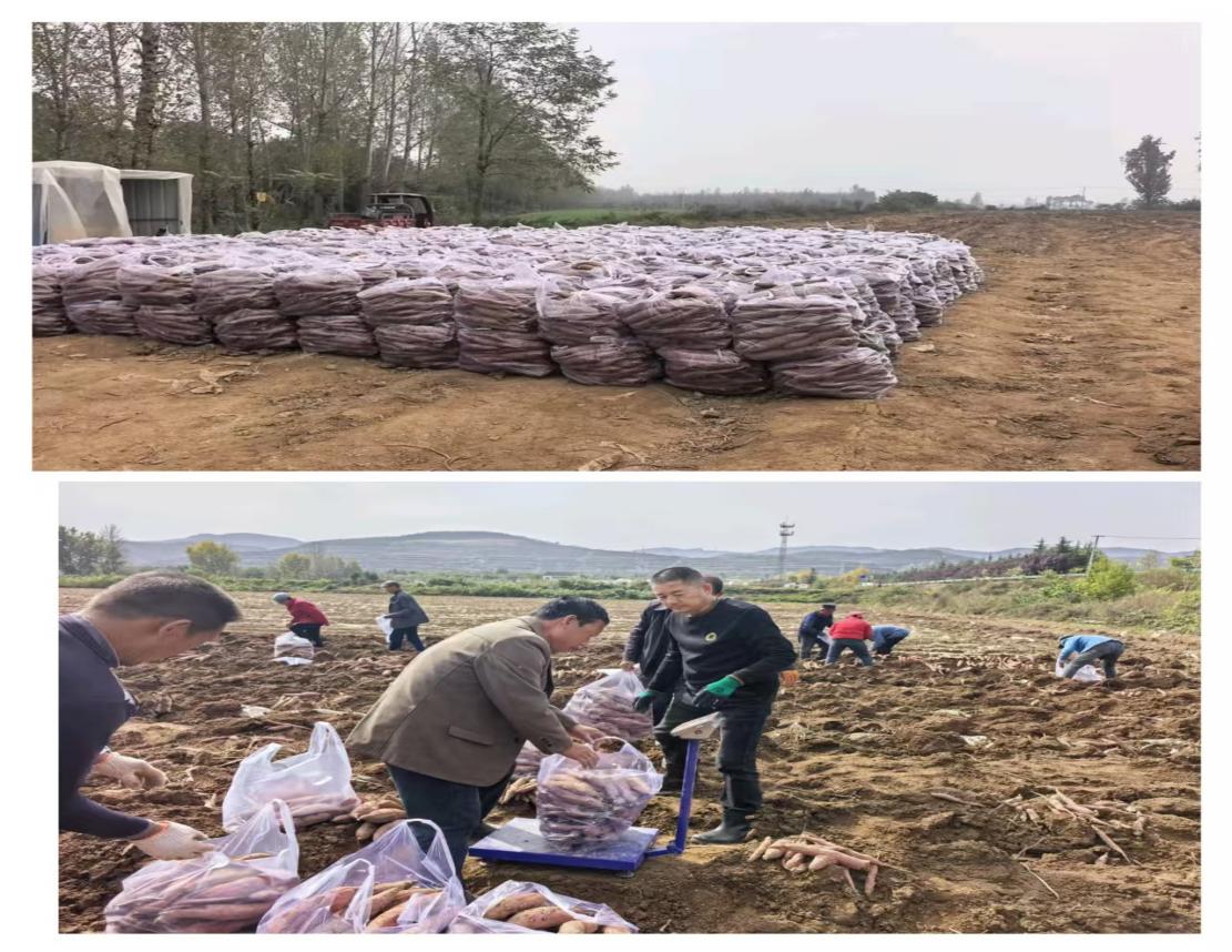 6b73780769d3271d37b74d1754cbaefb