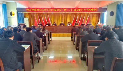 简篇-河北镇传达学习党的二十届四中全会精神