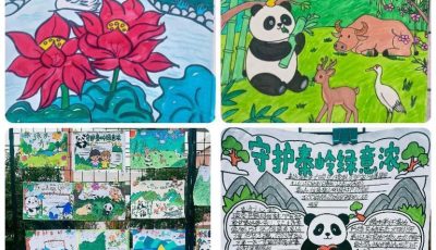 653fb9dd2f210bd93e9e0d65668729e