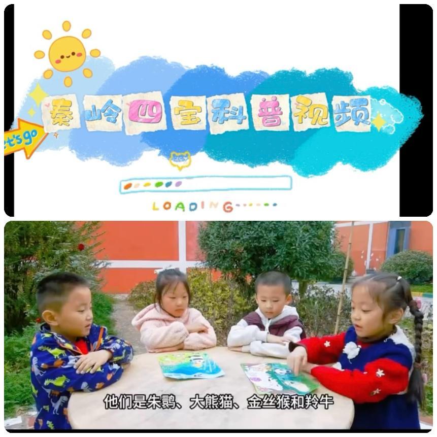 67d5c66134c2b8620e677edb3065954