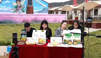 简篇-“云端”架起助农新桥梁 ——河北镇携手温水镇打造助农直播新篇章