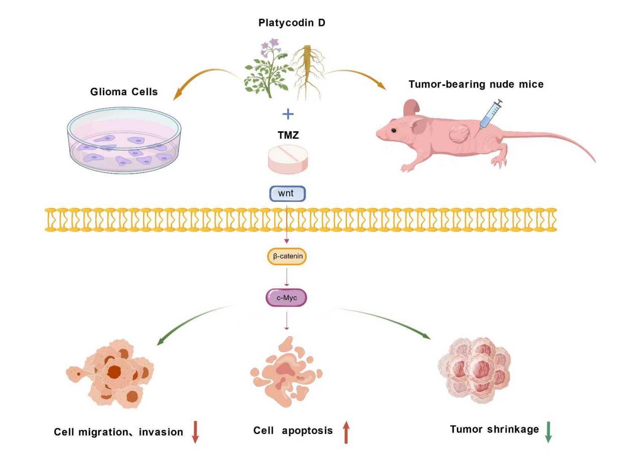 8d4cd7957bf727b250d347030a59581f