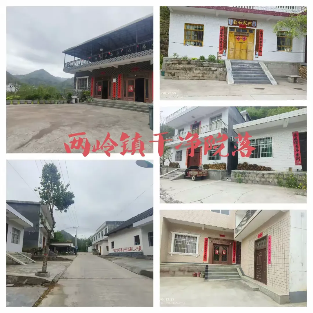 简篇-聚力环境整治，擦亮“干净两岭”生态名片