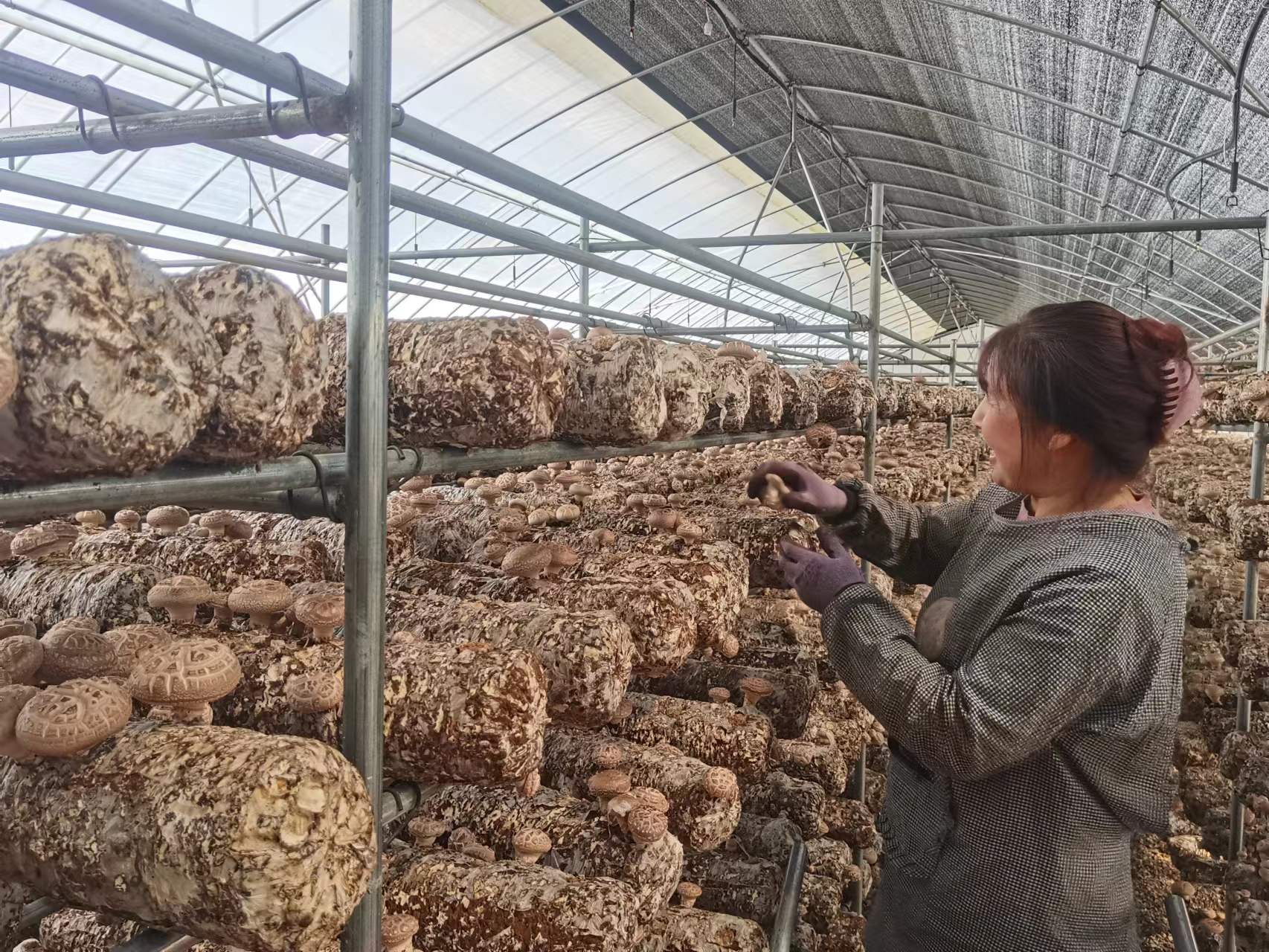 2a89ed78dc820e0339d22fc8a59d10f