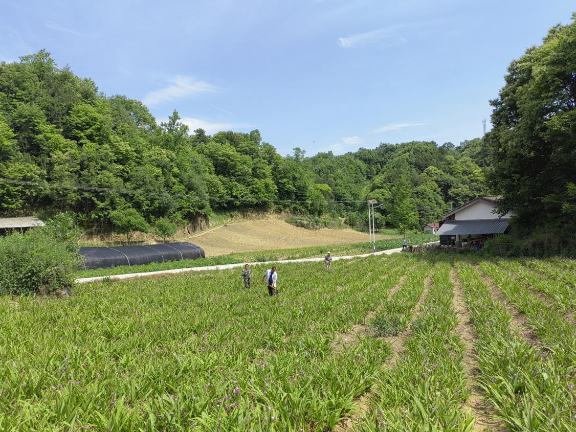 2eff0f449f8c683d200cdd94e39ba25b