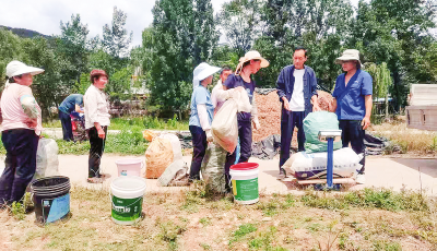 40c15fb524d8eb7d1cb541456d7bddea