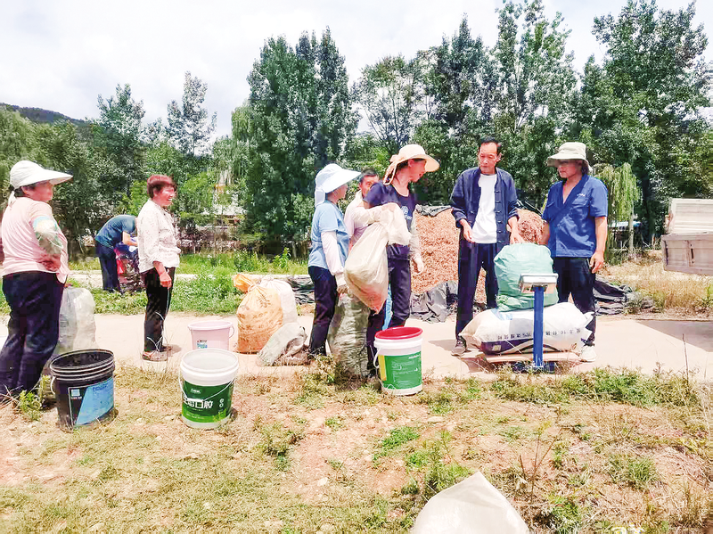 40c15fb524d8eb7d1cb541456d7bddea