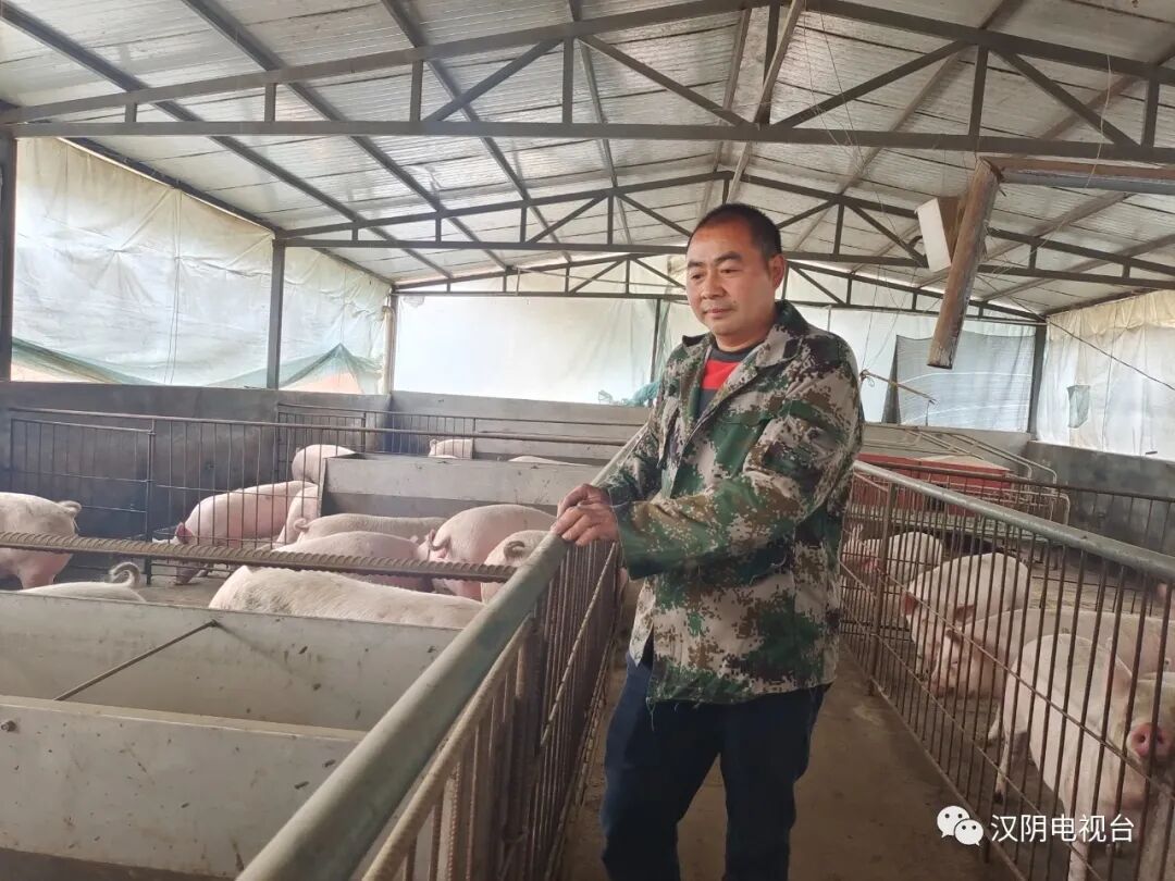 7b585c0c62cf64fcd7993bef93376b33