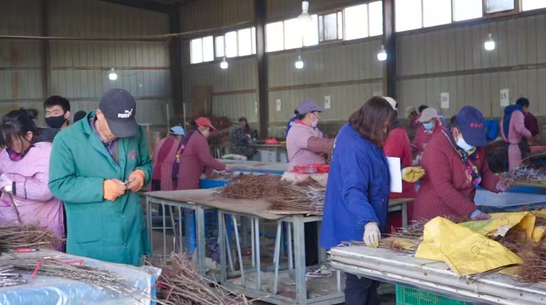 a53b8f2232bc1c765b06104cb30bf38a