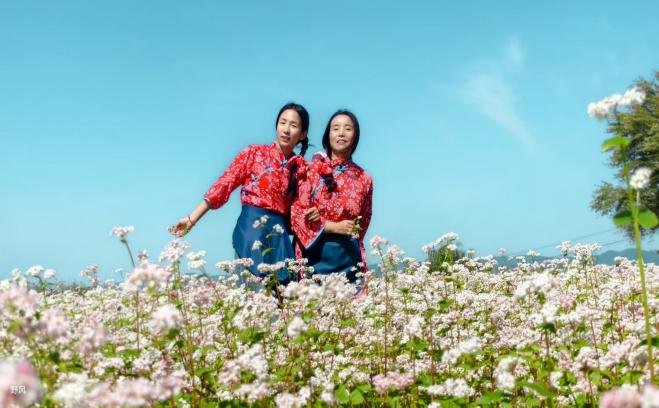 b77d1d6933c4d9b2aeaecd90ea577759