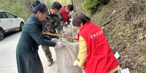 e1500ae75207345f0b3b606815c5bde