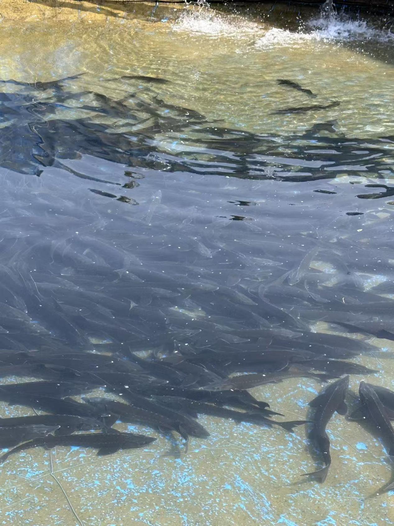 09a838da56e6578a7b908e3e7adf38b8