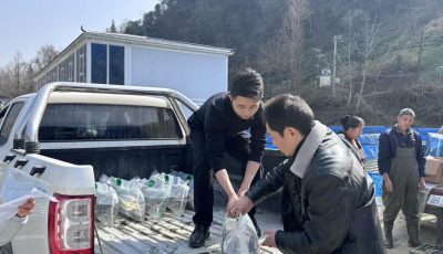 9bf38858697331ec1f1c23c219e329fd