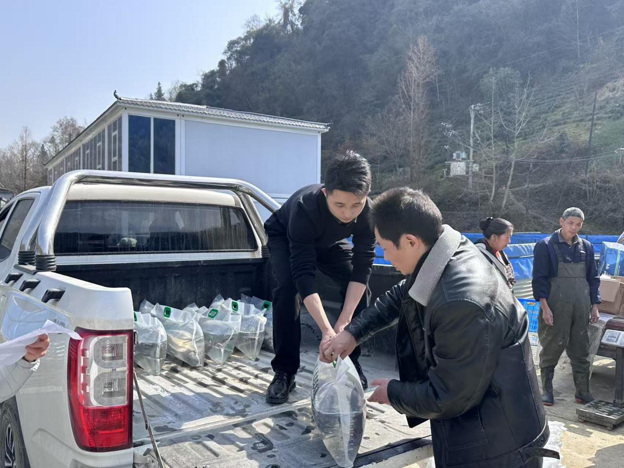 9bf38858697331ec1f1c23c219e329fd