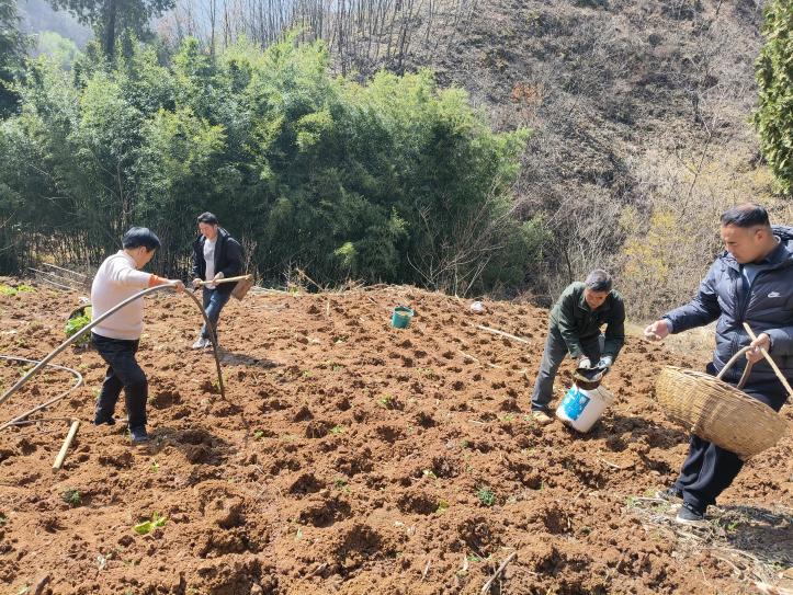 4a6c2cc7d648ec6350506b57bb0d6789