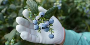 4e845df7767804c3ab93df936af1be2d