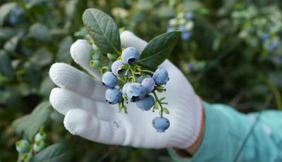 4e845df7767804c3ab93df936af1be2d