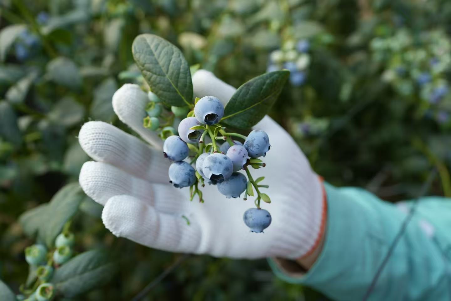 4e845df7767804c3ab93df936af1be2d