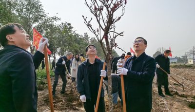 a8986177d2f6b0216fd465eabd74d167