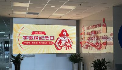 b67d031cfea274a7e2f33f117f2db990