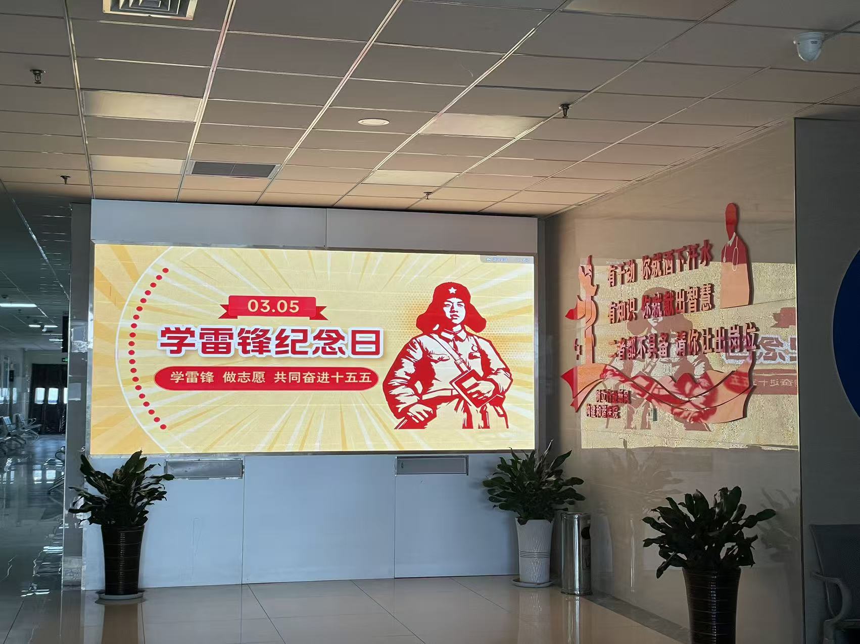 b67d031cfea274a7e2f33f117f2db990